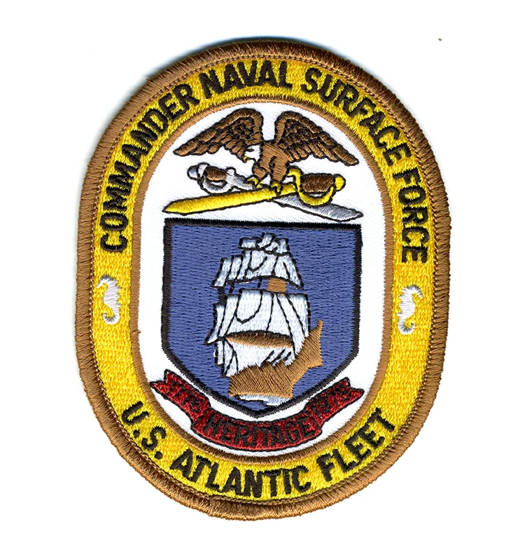 Commander Naval Surface Force Atlantic Fleet Iron On Patch